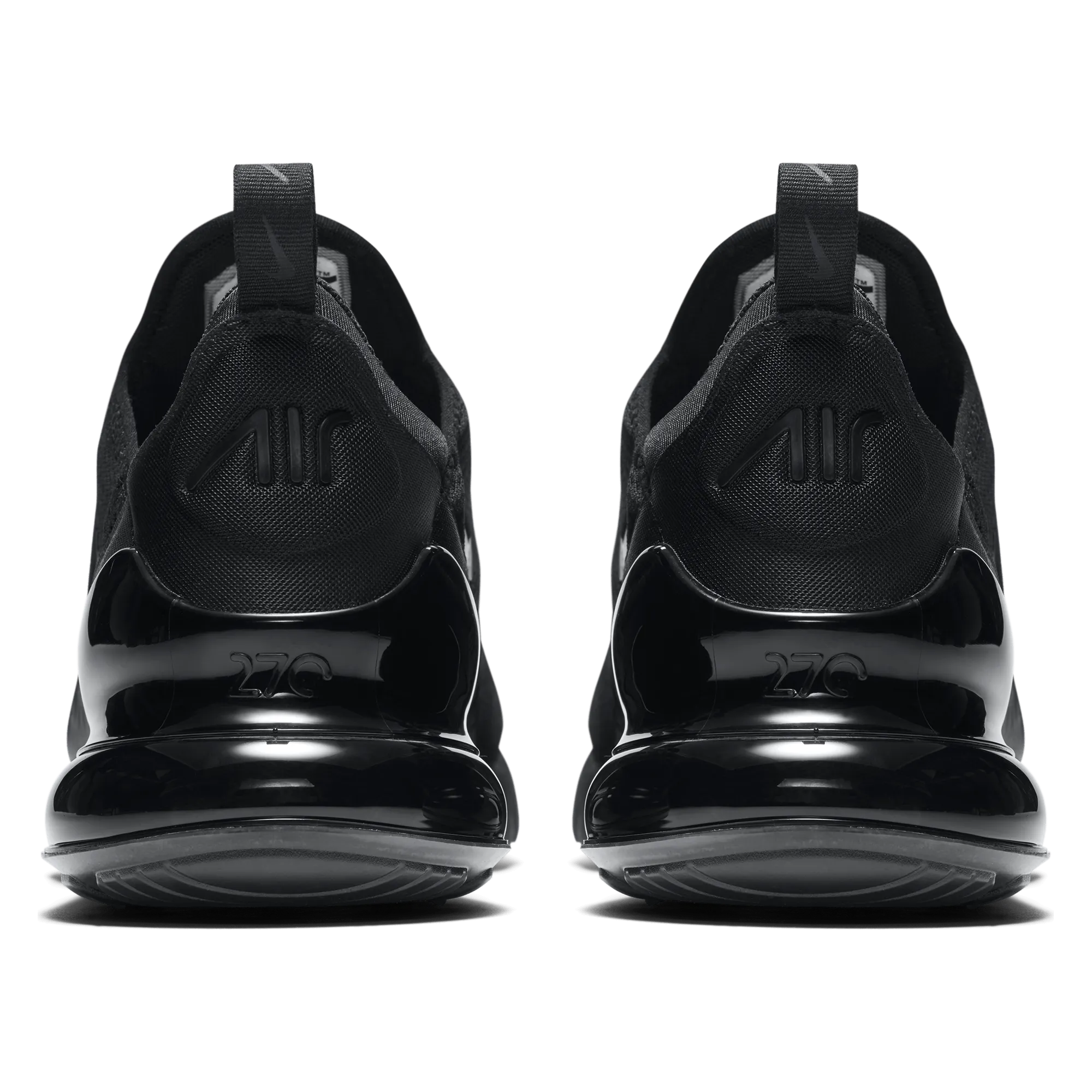 Air Max 270 (AH8050-005)